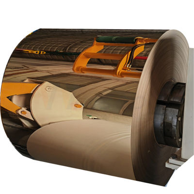ASTM 201 304 316 Mirror Stainless Steel Cold Rolled Coils With PVD Rose Gold Coating