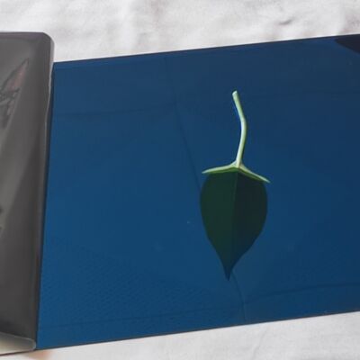 316 316L Grade Sapphire Blue 8K Super Mirror Stainless Steel Sheet 1000mmx2000mm