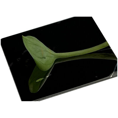 Black Mirror Stainless Steel Sheet in AISI 201 304 316 with Factory Direct Supply